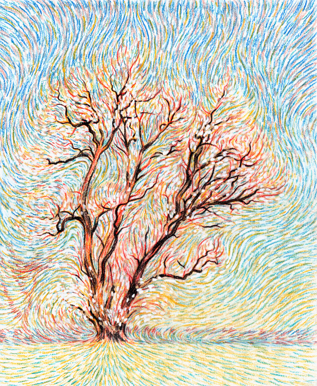 Soft pastel and ink on illustration board.<br>
10 x 12 in.<br><br>
<a href="https://portfolio.christianfrederiksen.com/product/the-fire-tree-2018/">Buy Original or Prints</a><br><br>
A drawing of a Russian olive tree made on location near my house in Mount Pleasant.