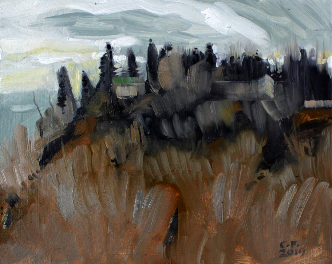 Oil on illustration board.<br>
7 x 5.5 in.<br><br>
Painted on location at McHugh Bluff. This shows a large walled-in property overlooking Sunnyside, surrounded by woods. It's a spot that's always held mystery for me.