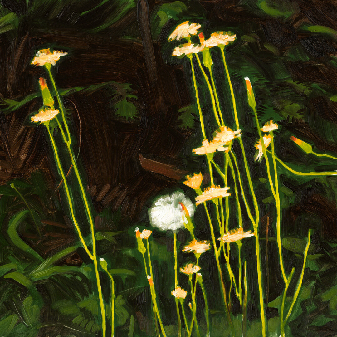 Oil on hardboard<br>
12 x 12 in.<br><br>
<a href="https://portfolio.christianfrederiksen.com/product/dandelions-sparkling-2022/">Buy Prints</a><br><br>