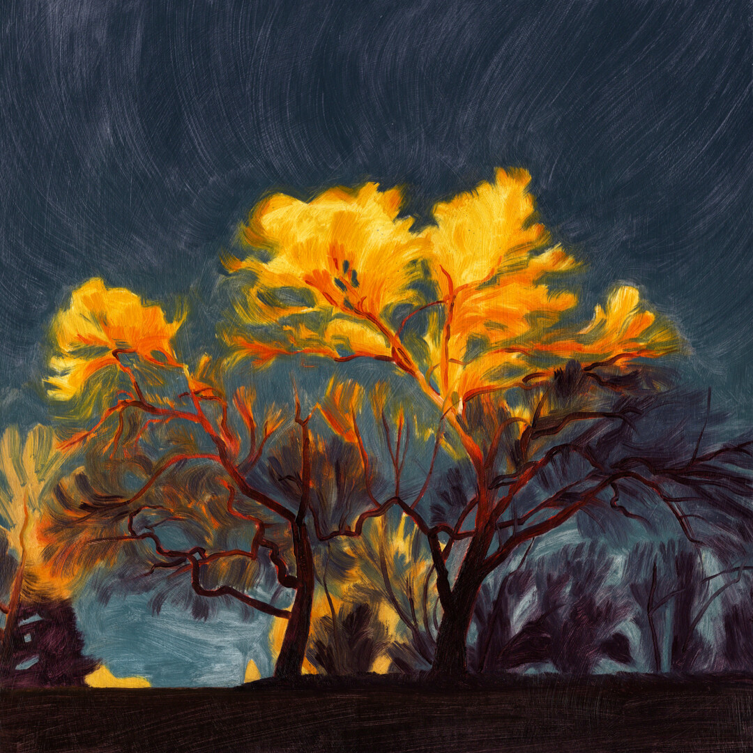 Oil on hardboard.<br>
12 x 12 in.<br><br>
<a href="https://portfolio.christianfrederiksen.com/product/elm-catching-the-last-light-2-2022/">Buy Original or Prints</a><br><br>