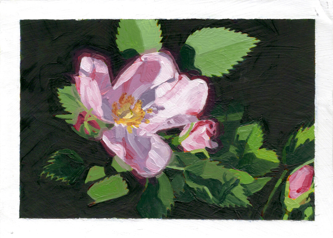 Oil on illustration board.<br>
5 x 7 in.<br><br>
<a href="https://www.artsy.net/artwork/christian-frederiksen-wild-rose">Buy Original</a><br><br>
Study done in preparation for <i>Mingling in Evening Light</i>.